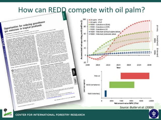 Biodiversity and Carbon Conservation in the Face of Oil-palm Development in Indonesia