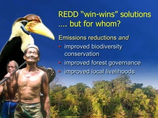 Biodiversity and Carbon Conservation in the Face of Oil-palm Development in Indonesia