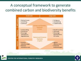 Biodiversity and Carbon Conservation in the Face of Oil-palm Development in Indonesia