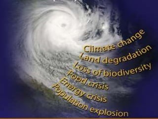 Biodiversity and Carbon Conservation in the Face of Oil-palm Development in Indonesia