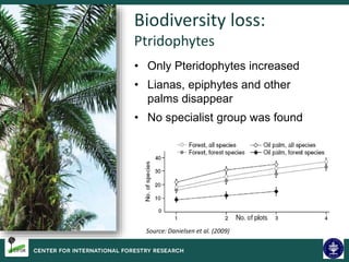Biodiversity and Carbon Conservation in the Face of Oil-palm Development in Indonesia