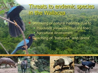 Biodiversity and Carbon Conservation in the Face of Oil-palm Development in Indonesia