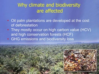 Biodiversity and Carbon Conservation in the Face of Oil-palm Development in Indonesia