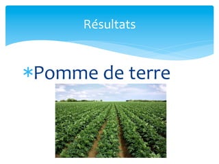 Résultats	
  

* Pomme	
  de	
  terre	
  

 