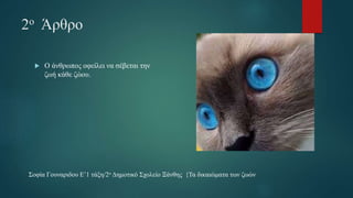 2ο Άρθρο
 Ο άνθρωπος οφείλει να σέβεται την
ζωή κάθε ζώου.
Σοφία Γουναριδου Ε’1 τάξη/2ο Δημοτικό Σχολείο Ξάνθης {Τα δικαιώματα των ζωών
 