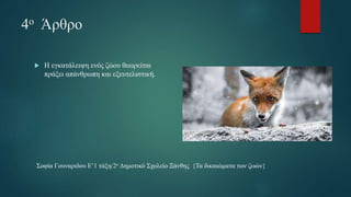 4ο Άρθρο
 Η εγκατάλειψη ενός ζώου θεωρείται
πράξει απάνθρωπη και εξευτελιστική.
Σοφία Γουναριδου Ε’1 τάξη/2ο Δημοτικό Σχολείο Ξάνθης {Τα δικαιώματα των ζωών}
 