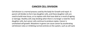 CANCER CELL DIVISION
Cell division is a normal process used by the body for Growth and repair. A
parent cell divides to form two daughter cells, and these daughter cells are
used to build new tissue, or to replace cells that have died as a result of ageing
or damage. Healthy cells stop dividing when there is no longer a need for more
daughter cells, but cancer cells continue to produce copies. Cancer is
unchecked cell growth. Mutations in genes can cause cancer by accelerating
cell division rates or inhibiting normal controls on the system, such as cell cycle
 
