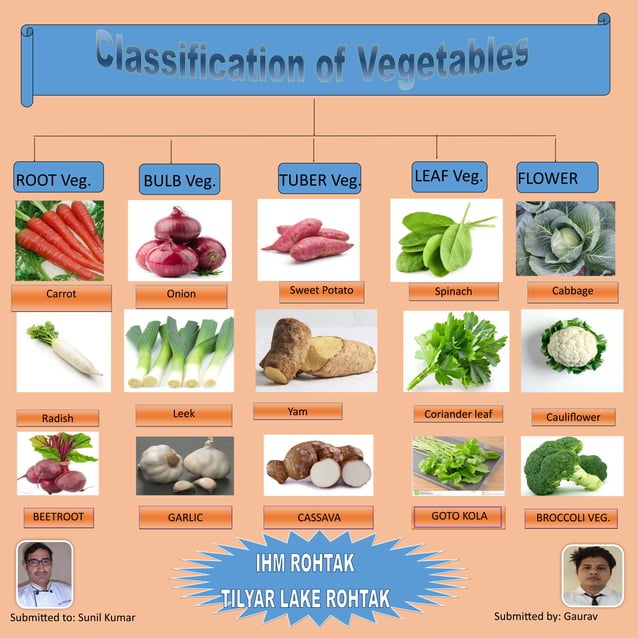 Common Vegetables Types and Examples PDF