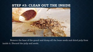 STEP #3: CLEAN OUT THE INSIDE
Remove the base of the gourd and dump all the loose seeds and dried pulp from
inside it. Discard the pulp and seeds.
 