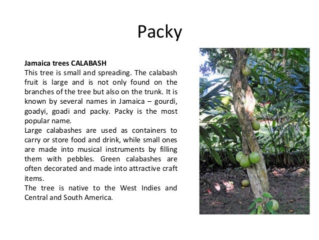 Plants by olive senior literary devices image