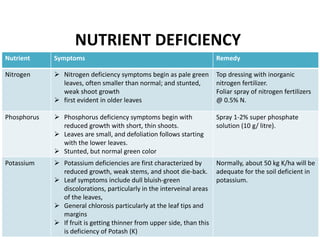 14
NUTRIENT DEFICIENCY
Nutrient Symptoms Remedy
Nitrogen  Nitrogen deficiency symptoms begin as pale green
leaves, often smaller than normal; and stunted,
weak shoot growth
 first evident in older leaves
Top dressing with inorganic
nitrogen fertilizer.
Foliar spray of nitrogen fertilizers
@ 0.5% N.
Phosphorus  Phosphorus deficiency symptoms begin with
reduced growth with short, thin shoots.
 Leaves are small, and defoliation follows starting
with the lower leaves.
 Stunted, but normal green color
Spray 1-2% super phosphate
solution (10 g/ litre).
Potassium  Potassium deficiencies are first characterized by
reduced growth, weak stems, and shoot die-back.
 Leaf symptoms include dull bluish-green
discolorations, particularly in the interveinal areas
of the leaves,
 General chlorosis particularly at the leaf tips and
margins
 If fruit is getting thinner from upper side, than this
is deficiency of Potash (K)
Normally, about 50 kg K/ha will be
adequate for the soil deficient in
potassium.
 
