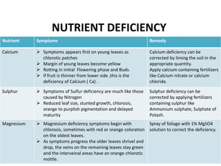 15
Nutrient Symptoms Remedy
Calcium  Symptoms appears first on young leaves as
chlorotic patches
 Margin of young leaves become yellow
 Rotting in initial Flowering phase and Buds.
 if fruit is thinner from lower side ,this is the
deficiency of Calcium ( Ca) .
Calcium deficiency can be
corrected by liming the soil in the
appropriate quantity.
Apply calcium containing fertilizers
like Calcium nitrate or calcium
chloride.
Sulphur  Symptoms of Sulfur deficiency are much like those
caused by Nitrogen
 Reduced leaf size, stunted growth, chlorosis,
orange to purplish pigmentation and delayed
maturity
Sulphur deficiency can be
corrected by applying fertilizers
containing sulphur like
Ammonium sulphate, Sulphate of
Potash.
Magnesium  Magnesium deficiency symptoms begin with
chlorosis, sometimes with red or orange coloration
on the oldest leaves.
 As symptoms progress the older leaves shrivel and
drop, the veins on the remaining leaves stay green
and the interveinal areas have an orange chlorotic
mottle.
Spray of foliage with 1% MgSO4
solution to correct the deficiency.
NUTRIENT DEFICIENCY
 