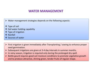  First irrigation is given immediately after Transplanting / sowing to enhance proper
seed germination.
 Subsequent irrigations are given at 3-4 day intervals in summer months.
 In rainy season, irrigation is required only during the prolonged dry spell.
 Bottle gourd requires good soil moisture conditions to promote vegetative growth
and to produce attractive, shining green, tender fruits of regular shape.
WATER MANAGEMENT
 Water management strategies depends on the following aspects:
 Type of soil
 Soil water holding capability
 Type of irrigation
 Rainfall
 Sources of water
 