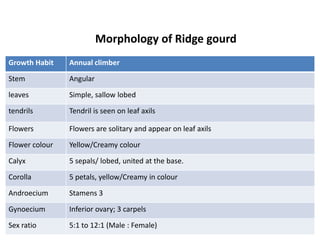 Growth Habit Annual climber
Stem Angular
leaves Simple, sallow lobed
tendrils Tendril is seen on leaf axils
Flowers Flowers are solitary and appear on leaf axils
Flower colour Yellow/Creamy colour
Calyx 5 sepals/ lobed, united at the base.
Corolla 5 petals, yellow/Creamy in colour
Androecium Stamens 3
Gynoecium Inferior ovary; 3 carpels
Sex ratio 5:1 to 12:1 (Male : Female)
Morphology of Ridge gourd
 