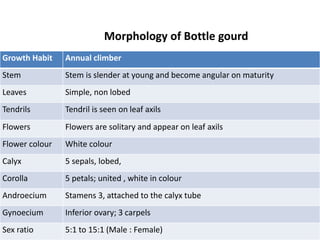 Growth Habit Annual climber
Stem Stem is slender at young and become angular on maturity
Leaves Simple, non lobed
Tendrils Tendril is seen on leaf axils
Flowers Flowers are solitary and appear on leaf axils
Flower colour White colour
Calyx 5 sepals, lobed,
Corolla 5 petals; united , white in colour
Androecium Stamens 3, attached to the calyx tube
Gynoecium Inferior ovary; 3 carpels
Sex ratio 5:1 to 15:1 (Male : Female)
Morphology of Bottle gourd
 