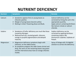 47
Nutrient Symptoms Remedy
Calcium  Symptoms appears first on young leaves as
chlorotic patches
 Margin of young leaves become yellow
 Rotting in initial Flowering phase and Buds.
Calcium deficiency can be
corrected by liming the soil in the
appropriate quantity.
Apply calcium containing fertilizers
like Calcium nitrate or calcium
chloride.
Sulphur  Symptoms of Sulfur deficiency are much like those
caused by Nitrogen
 Reduced leaf size, stunted growth, chlorosis,
orange to purplish pigmentation and delayed
maturity
Sulphur deficiency can be
corrected by applying fertilizers
containing sulphur like
Ammonium sulphate, Sulphate of
Potash.
Magnesium  Magnesium deficiency symptoms begin with
chlorosis, on the oldest leaves.
 As symptoms progress the older leaves shrivel and
drop, the veins on the remaining leaves stay green
and the interveinal areas have an orange chlorotic
mottle.
Spray of foliage with 1% MgSO4
solution to correct the deficiency.
NUTRIENT DEFICIENCY
 