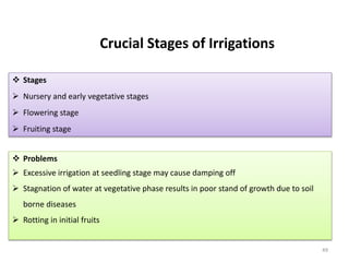 49
Crucial Stages of Irrigations
 Stages
 Nursery and early vegetative stages
 Flowering stage
 Fruiting stage
 Problems
 Excessive irrigation at seedling stage may cause damping off
 Stagnation of water at vegetative phase results in poor stand of growth due to soil
borne diseases
 Rotting in initial fruits
 