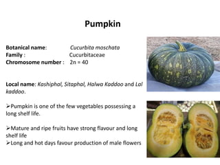 Pumpkin
Botanical name: Cucurbita moschata
Family : Cucurbitaceae
Chromosome number : 2n = 40
Local name: Kashiphal, Sitaphal, Halwa Kaddoo and Lal
kaddoo.
Pumpkin is one of the few vegetables possessing a
long shelf life.
Mature and ripe fruits have strong flavour and long
shelf life
Long and hot days favour production of male flowers
 