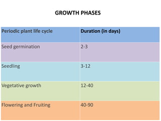 55
GROWTH PHASES
Periodic plant life cycle Duration (in days)
Seed germination 2-3
Seedling 3-12
Vegetative growth 12-40
Flowering and Fruiting 40-90
 