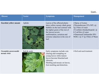 Disease Vector Symptoms Management
Zucchini yellow mosaic Aphids Leaves of the affected plants
show yellow mosaic (dark green
bubbles on the leaf contrast with
the lighter green of the rest of
the leaves) severe
malformation, serration and
extreme reduction in the size of
leaf.
Spray of Actara
(Thiomethoxam 25% WP ) @
5g/15litre of water
Confidor (Imidachloprid) @
0.5 ml/litre of water
Dantotsu(Clothianidin 50%
WDG ) @ 5-7g/15litre of Water
Cucumber green mottle
mosaic virus
Soil & seeds Early symptoms include vein
clearing and crumpling on
young leaves while mature
leaves become bleached and
chlorotic.
Mottling and mosaic on leaves,
fruit mottling and distortion.
Soil and seed treatment
Cont..
 