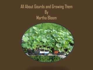 All About Gourds and Growing Them
                By
           Martha Bloom
 