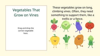 Vegetables That
Grow on Vines
These vegetables grow on long,
climbing vines. Often, they need
something to support them, like a
trellis or a fence.
Drag and drop the
correct vegetable
here.
 