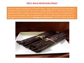 Slide 2- How to Identify Grade A Beans?
There are salient characteristics of Grade A beans. These characteristics are thes...