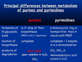 Principal differences between metabolism
of purines and pyrimidines
purines pyrimidines
formation of
N-glycosidic
bond
in 1st
step of their
biosynthesis
(PRDP is the 1st
substrate)
a heterocyclic ring is
formed first, then it
reacts with PRDP
location of
biosynthesis
cytoplasm cytoplasm + 1 enzyme
is in a mitochondrion
products of
degradation
uric acid
(poor solubility in H2O),
NH3
CO2, NH3, β-
Aminoisobutyric acid
(soluble in H2O)
 