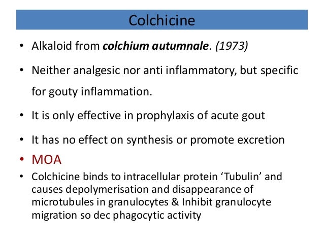 Colchicine and allopurinol interaction gout prophylaxis