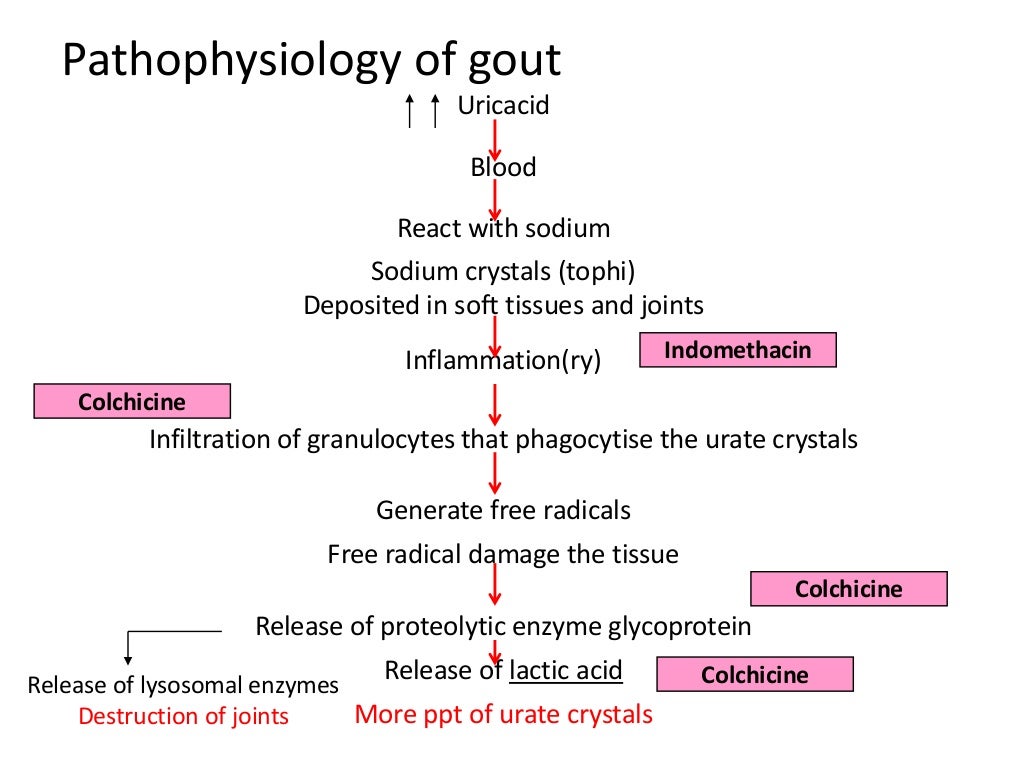 Gout