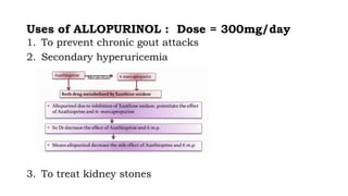Uses of ALLOPURINOL : Dose = 300mg/day
1. To prevent chronic gout attacks
2. Secondary hyperuricemia
3. To treat kidney stones
 