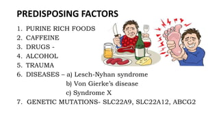 PREDISPOSING FACTORS
1. PURINE RICH FOODS
2. CAFFEINE
3. DRUGS -
4. ALCOHOL
5. TRAUMA
6. DISEASES – a) Lesch-Nyhan syndrome
b) Von Gierke’s disease
c) Syndrome X
7. GENETIC MUTATIONS- SLC22A9, SLC22A12, ABCG2
 