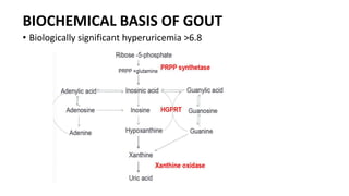 BIOCHEMICAL BASIS OF GOUT
• Biologically significant hyperuricemia >6.8
 