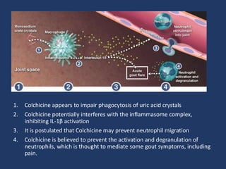 Gout (drug and treatment ) | PPTX