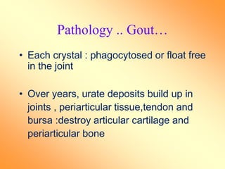 Pathology .. Gout…
• Each crystal : phagocytosed or float free
in the joint
• Over years, urate deposits build up in
joints , periarticular tissue,tendon and
bursa :destroy articular cartilage and
periarticular bone
 