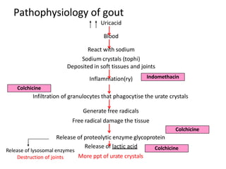 Pathophysiology of gout
Uricacid
Blood
React with sodium
Sodium crystals (tophi)
Deposited in soft tissues and joints
Inflammation(ry)
Infiltration of granulocytes that phagocytise the urate crystals
Generate free radicals
Free radical damage the tissue
Release of proteolytic enzyme glycoprotein
Release of lactic acid
More ppt of urate crystals
Indomethacin
Colchicine
Colchicine
Colchicine
Release of lysosomal enzymes
Destruction of joints
 