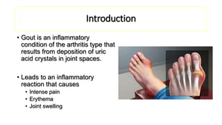 Introduction
• Gout is an inflammatory
condition of the arthritis type that
results from deposition of uric
acid crystals in joint spaces.
• Leads to an inflammatory
reaction that causes
• Intense pain
• Erythema
• Joint swelling
 