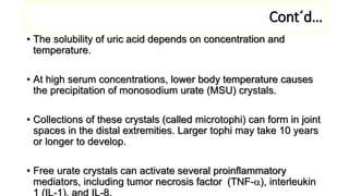Cont´d…
• The solubility of uric acid depends on concentration and
temperature.
• At high serum concentrations, lower body temperature causes
the precipitation of monosodium urate (MSU) crystals.
• Collections of these crystals (called microtophi) can form in joint
spaces in the distal extremities. Larger tophi may take 10 years
or longer to develop.
• Free urate crystals can activate several proinflammatory
mediators, including tumor necrosis factor (TNF-a), interleukin
1 (IL-1), and IL-8.
 