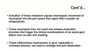 Cont´d…
• Activation of these mediators signals chemotactic movement of
neutrophils into the joint space that ingest MSU crystals via
phagocytosis.
• These neutrophils then are lysed and release proteolytic
enzymes that trigger the clinical manifestations of an acute gout
attack such as pain and swelling.
• These inflammatory mechanisms in gout, especially in
untreated disease, can lead to cartilage and joint destruction
 