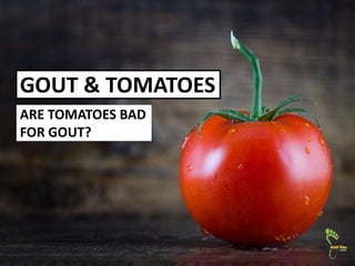 GOUT & TOMATOES
ARE TOMATOES BAD
FOR GOUT?
 