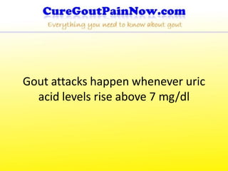 Gout attacks happen whenever uric
  acid levels rise above 7 mg/dl
 