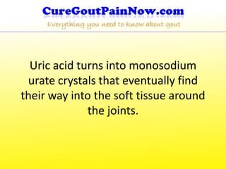 Uric acid turns into monosodium
 urate crystals that eventually find
their way into the soft tissue around
              the joints.
 