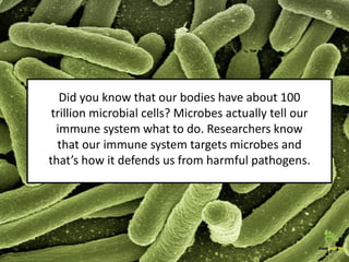 Did you know that our bodies have about 100
trillion microbial cells? Microbes actually tell our
immune system what to do. Researchers know
that our immune system targets microbes and
that’s how it defends us from harmful pathogens.
 