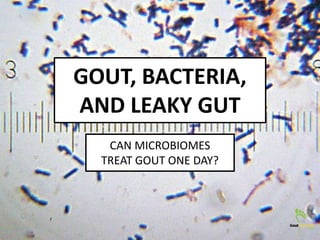 GOUT, BACTERIA,
AND LEAKY GUT
CAN MICROBIOMES
TREAT GOUT ONE DAY?
 