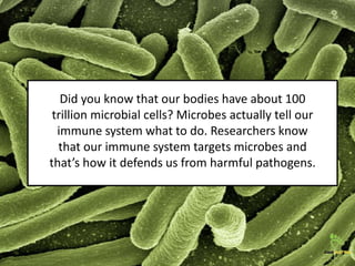 Did you know that our bodies have about 100
trillion microbial cells? Microbes actually tell our
immune system what to do....