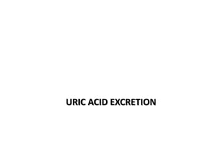URIC ACID EXCRETION