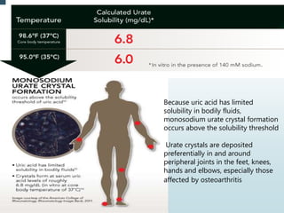 Because uric acid has limited 
solubility in bodily fluids, 
monosodium urate crystal formation 
occurs above the solubility threshold 
Urate crystals are deposited 
preferentially in and around 
peripheral joints in the feet, knees, 
hands and elbows, especially those 
affected by osteoarthritis 
 