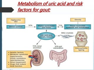 Metabolism of uric acid and risk 
factors for gout: 
 