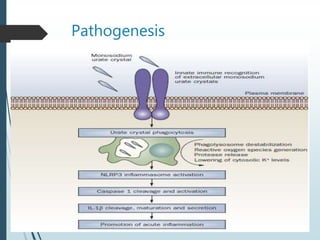 Pathogenesis 
 