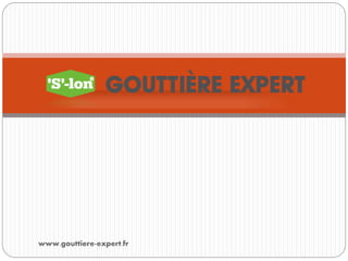 www.gouttiere-expert.fr
 
